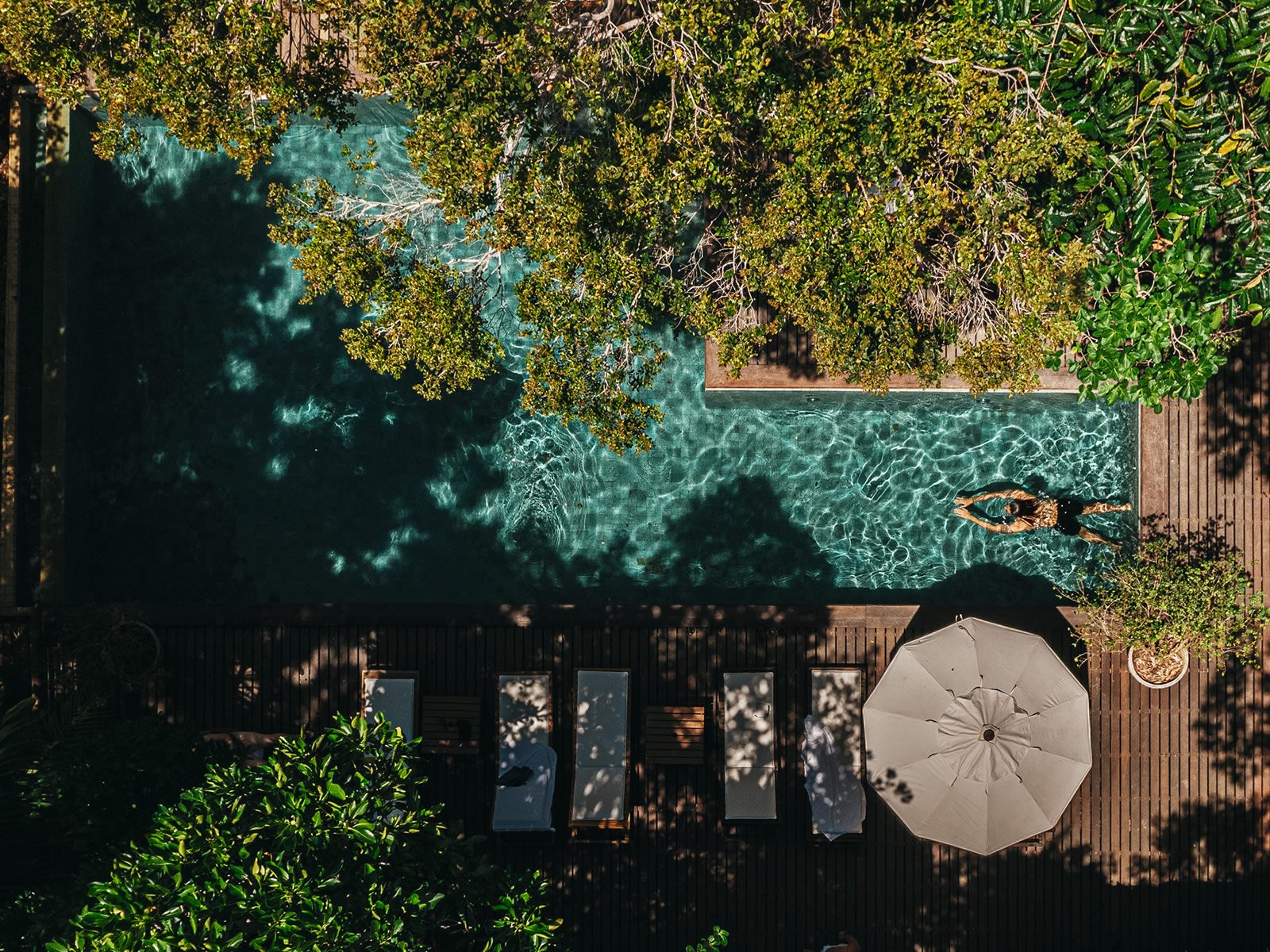 Infinity pool at Anavilhanas Jungle Lodge overlooking the Rio Negro and Anavilhanas Archipelago